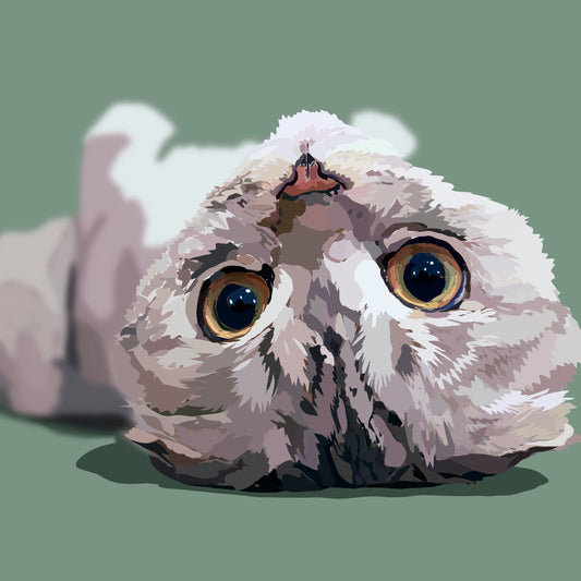 Digital Pet Portrait Option 2 (B)